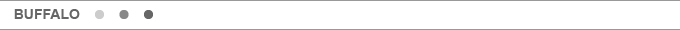 バッファロー